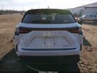 2024 Lexus Nx 250   Белый vin: JTJADCAZ4R2008446
