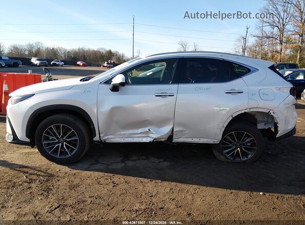 JTJADCAZ4R2008446 2024 LEXUS NX 250 Белый 
