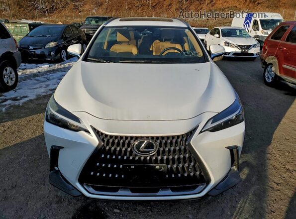JTJAGCEZ5S2020175 2025 LEXUS NX White წინა ხედი