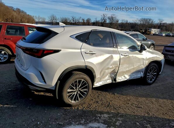 JTJAGCEZ5S2020175 2025 LEXUS NX White უკანა მარჯვენა