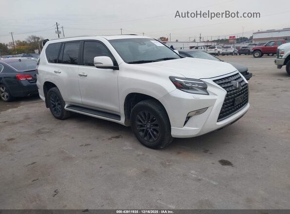 JTJAM7BX6P5372707 2023 LEXUS GX 460 Белый Передняя правая четверть