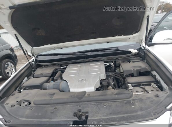JTJAM7BX6P5372707 2023 LEXUS GX 460 Белый Вид сзади