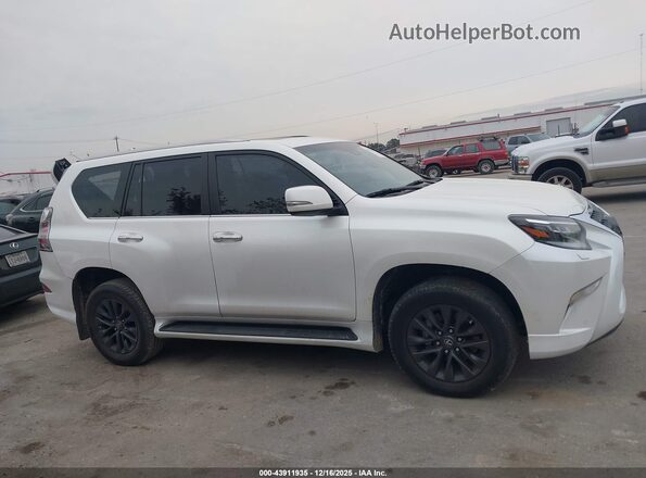 JTJAM7BX6P5372707 2023 LEXUS GX 460 Белый Вид задней части салона