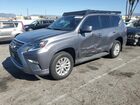 2023 Lexus Gx 460 Gray vin: JTJAM7BX6P5382864