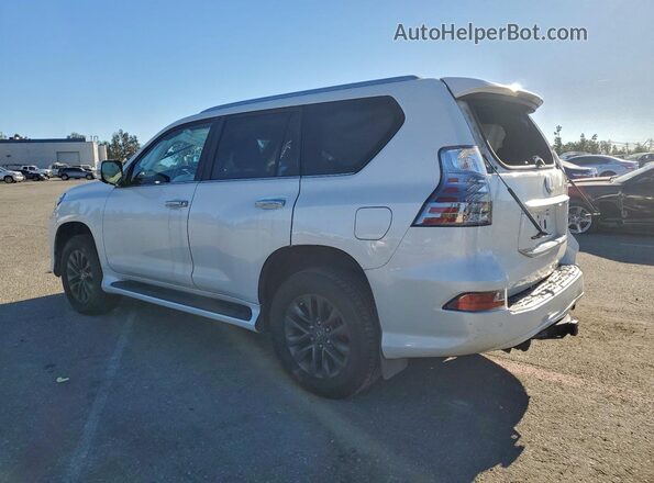 JTJAM7BX7M5292277 2021 LEXUS GX Белый Задняя левая четверть