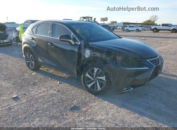 JTJBARBZ0K2203268 2019 LEXUS NX 300 Черный Передняя правая четверть