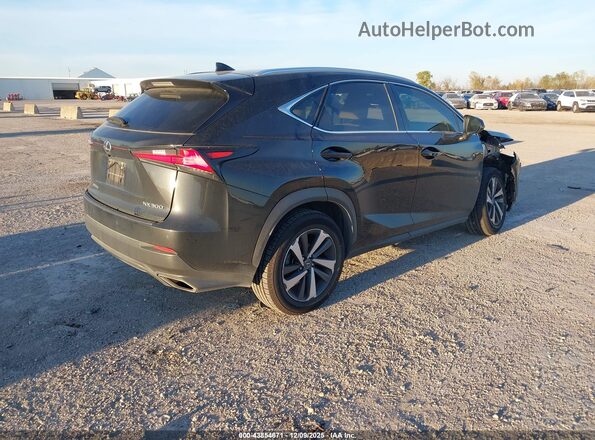 JTJBARBZ0K2203268 2019 LEXUS NX 300 Черный Задняя правая четверть