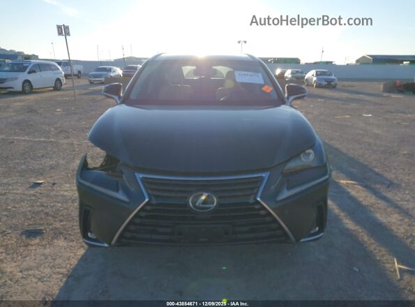 JTJBARBZ0K2203268 2019 LEXUS NX 300 Черный Вид задней части салона