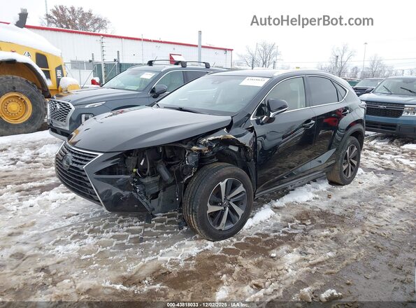 JTJBARBZ1J2177052 2018 LEXUS NX 300 Черный Вид спереди