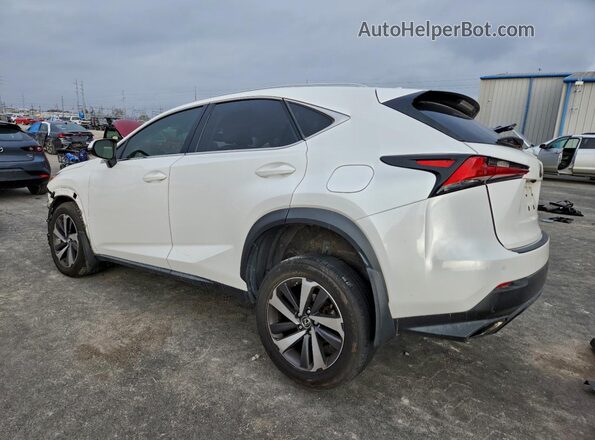 JTJBARBZ1K2179630 2019 LEXUS NX Белый Задняя левая четверть
