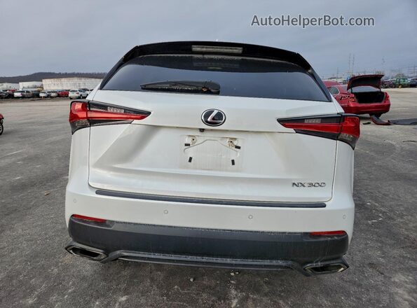 JTJBARBZ1K2179630 2019 LEXUS NX Белый Вид сзади