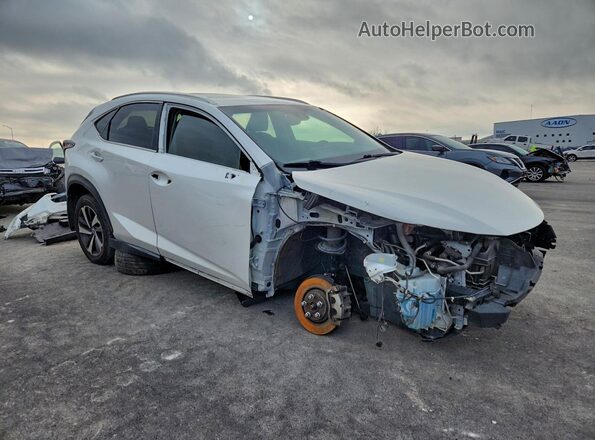 JTJBARBZ1K2179630 2019 LEXUS NX Белый Передняя правая четверть