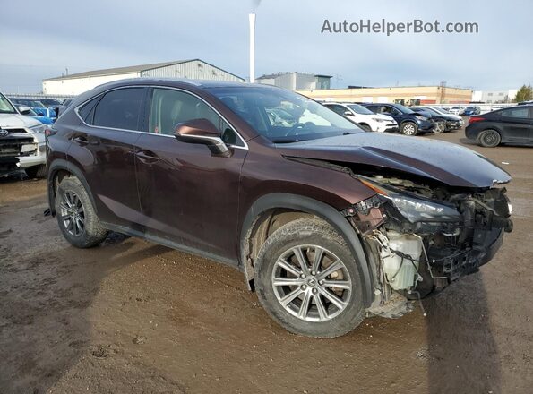 JTJBARBZ4G2071476 2016 LEXUS NX Коричневый Передняя правая четверть