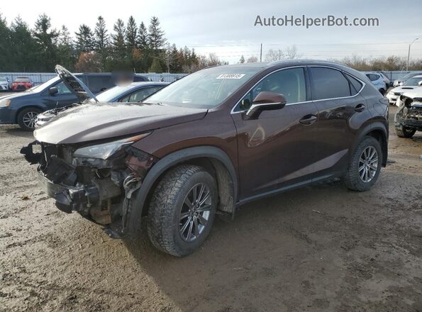 JTJBARBZ4G2071476 2016 LEXUS NX Коричневый Передняя левая четверть