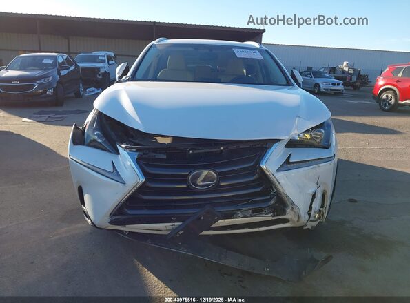 JTJBJRBZ0H2054711 2017 LEXUS NX 300H Белый Вид спереди