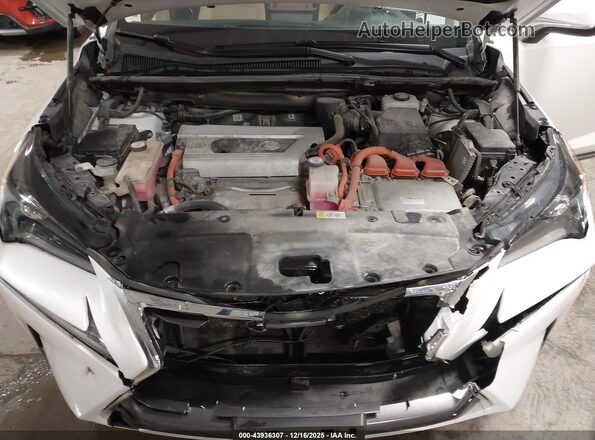 JTJBJRBZ5H2054400 2017 LEXUS NX 300H Белый Вид сзади