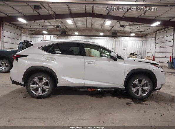 JTJBJRBZ5H2054400 2017 LEXUS NX 300H Белый Вид задней части салона