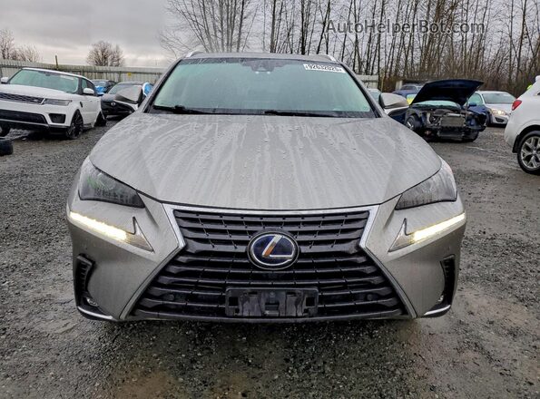 JTJBJRBZXJ2088239 2018 LEXUS NX Silver Դիմացի տեսք