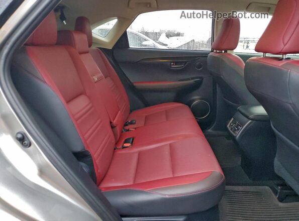 JTJBJRBZXJ2088239 2018 LEXUS NX Silver Սալոնի հետևի տեսք