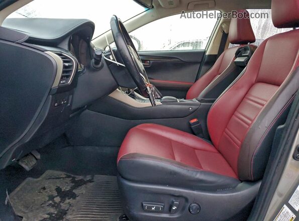 JTJBJRBZXJ2088239 2018 LEXUS NX Silver Սալոնի դիմացի տեսք