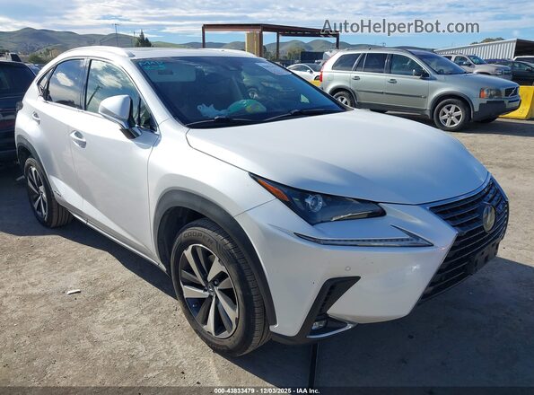 JTJBJRBZXK2119362 2019 LEXUS NX 300H Белый Вид спереди
