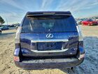 2018 Lexus Gx 460 Blue vin: JTJBM7FX1J5191925 2018 Lexus Gx 460 Blue vin: JTJBM7FX1J5191925