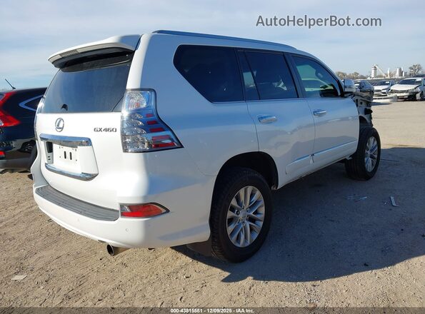 JTJBM7FX6G5139991 2016 LEXUS GX 460 White Tył prawy