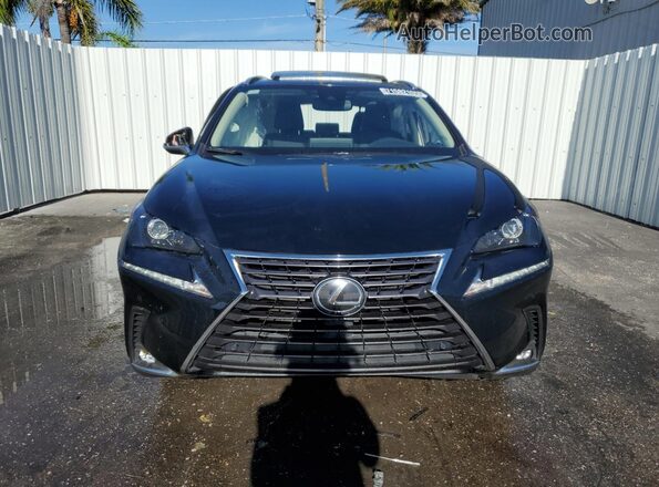 JTJDARBZ0M2193997 2021 LEXUS NX Black Widok z przodu