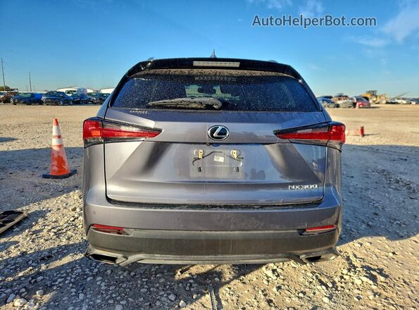 JTJDARBZ3M2183819 2021 LEXUS NX Черный Вид сзади