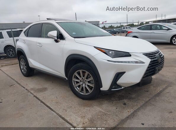 JTJDARBZ4M5032583 2021 LEXUS NX 300 Белый Передняя правая четверть
