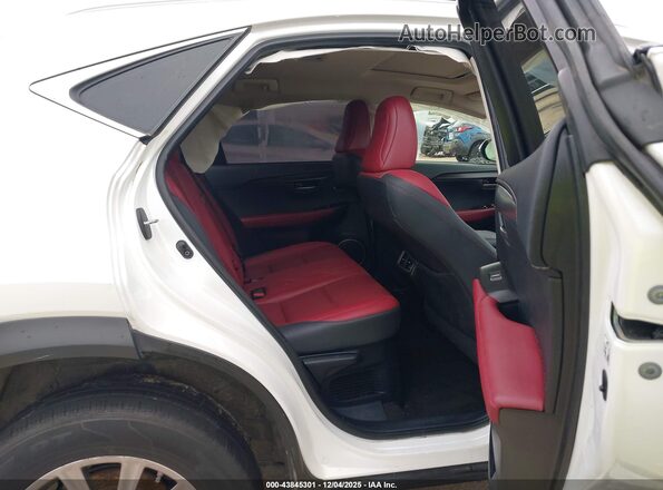 JTJDARBZ4M5032583 2021 LEXUS NX 300 Белый Вид наклейки с VIN-кодом
