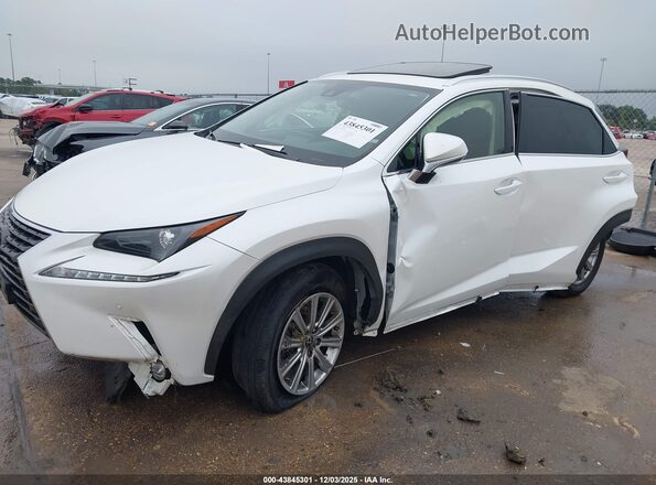 JTJDARBZ4M5032583 2021 LEXUS NX 300 Белый Вид спереди