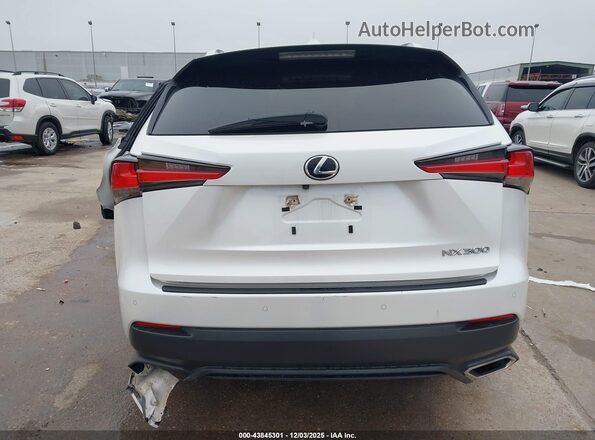JTJDARBZ4M5032583 2021 LEXUS NX 300 Белый 