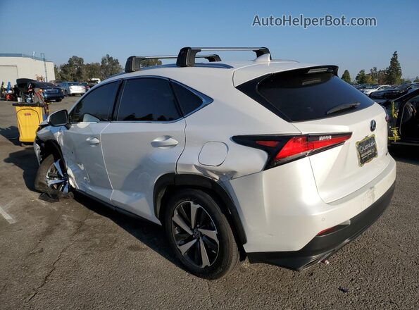 JTJDARBZ6L5010485 2020 LEXUS NX White Rear left