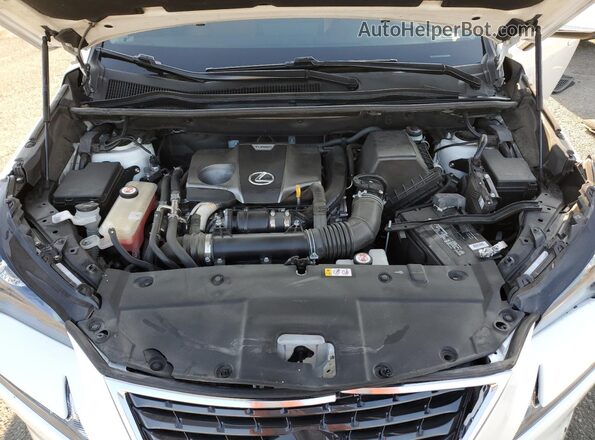 JTJDARBZ6L5010485 2020 LEXUS NX White Rear interior view