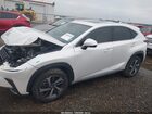 2020 Lexus Nx 300   Белый vin: JTJGARBZ1L5012027