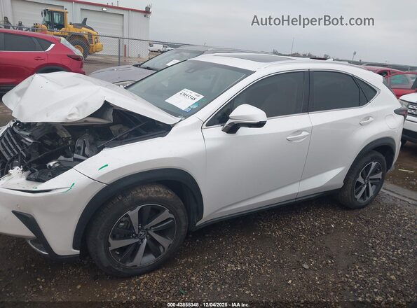 JTJGARBZ1L5012027 2020 LEXUS NX 300 Белый Панорамный вид салона 360°
