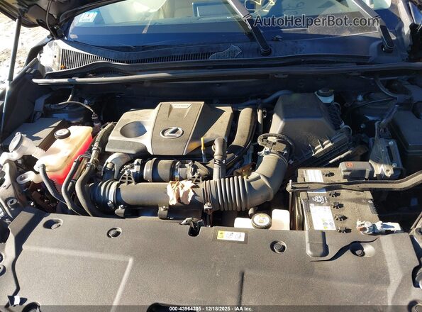 JTJGARDZ5M5031436 2021 LEXUS NX 300 Черный Вид сзади