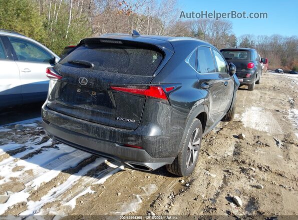 JTJGARDZ5M5031436 2021 LEXUS NX 300 Черный Задняя правая четверть