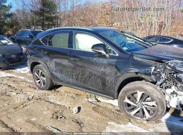 JTJGARDZ5M5031436 2021 LEXUS NX 300 Черный Вид задней части салона
