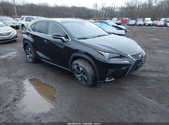 JTJGARDZ7M2242204 2021 LEXUS NX 300 Черный Передняя правая четверть