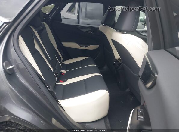 JTJGDCAZ0P5013410 2023 LEXUS NX 250 Gray Widok naklejki z numerem VIN
