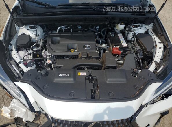 JTJGDCAZXS2018351 2025 LEXUS NX White Շարժիչի բաժամունքի տեսք