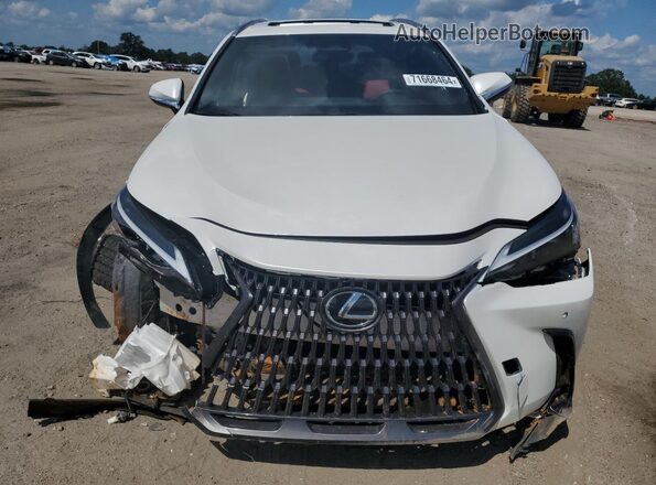 JTJGDCAZXS2018351 2025 LEXUS NX White Դիմացի տեսք