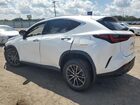 2025 Lexus Nx 250 Premium White vin: JTJGDCAZXS2018351 2025 Lexus Nx 250 Premium White vin: JTJGDCAZXS2018351