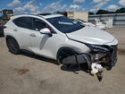 2025 Lexus Nx 250 Premium White vin: JTJGDCAZXS2018351 2025 Lexus Nx 250 Premium White vin: JTJGDCAZXS2018351