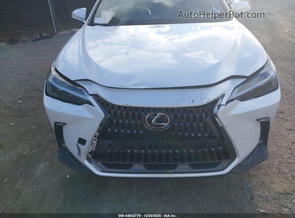 JTJGGCEZ4R5006917 2024 LEXUS NX 350 Белый Вид сзади
