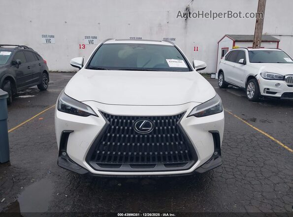 JTJGKCEZ6R2030331 2024 LEXUS NX 350H White უკანა სალონის ხედი