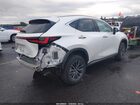 2024 Lexus Nx 350h Premium White vin: JTJGKCEZ6R2030331 2024 Lexus Nx 350h Premium White vin: JTJGKCEZ6R2030331