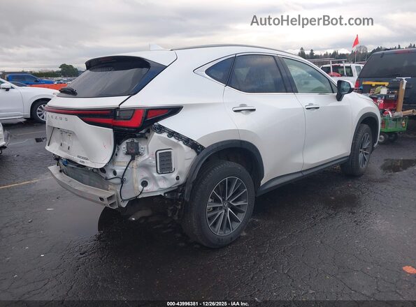 JTJGKCEZ6R2030331 2024 LEXUS NX 350H White უკანა მარჯვენა
